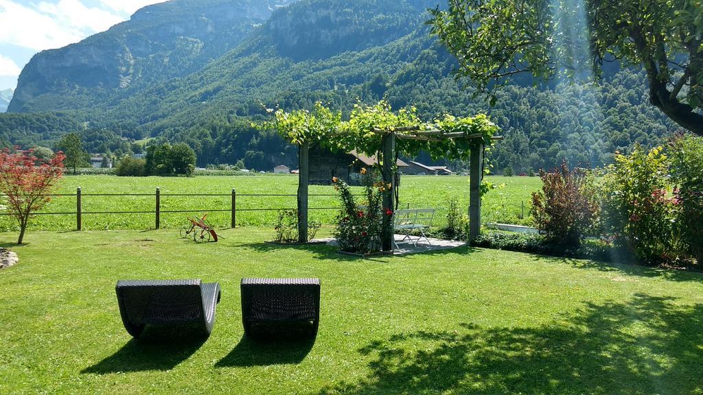 Mountain-panorama * Meiringen