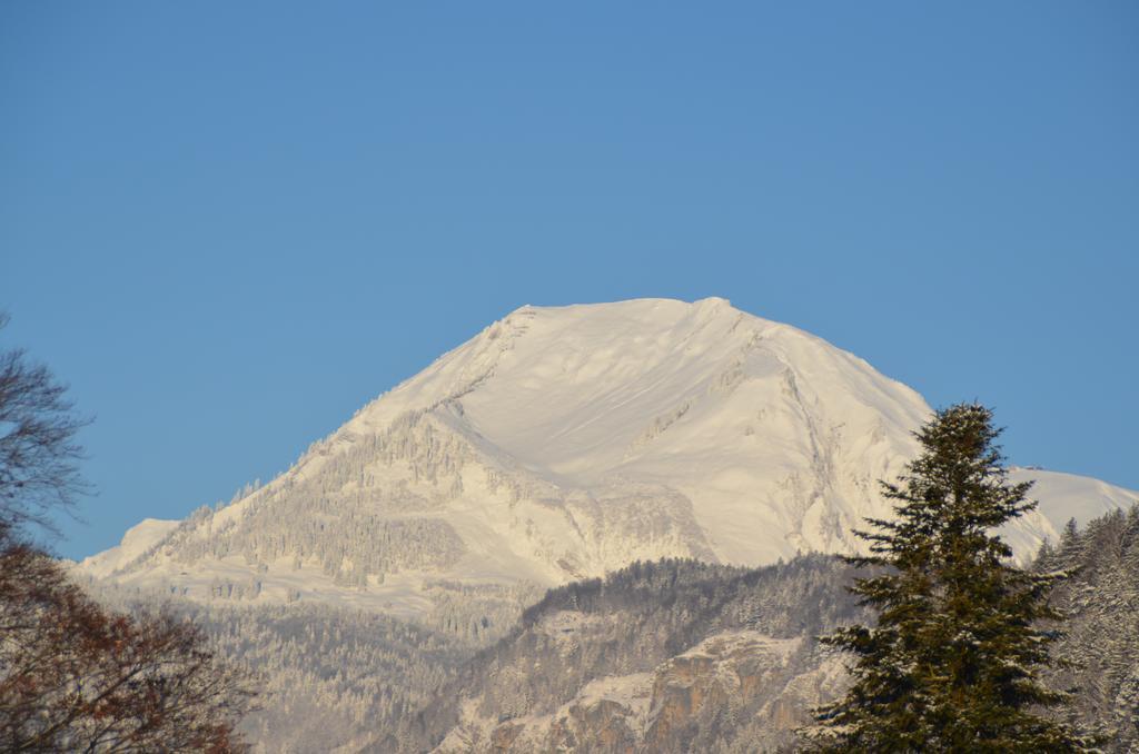 Appartement Mountain-panorama Meiringen
