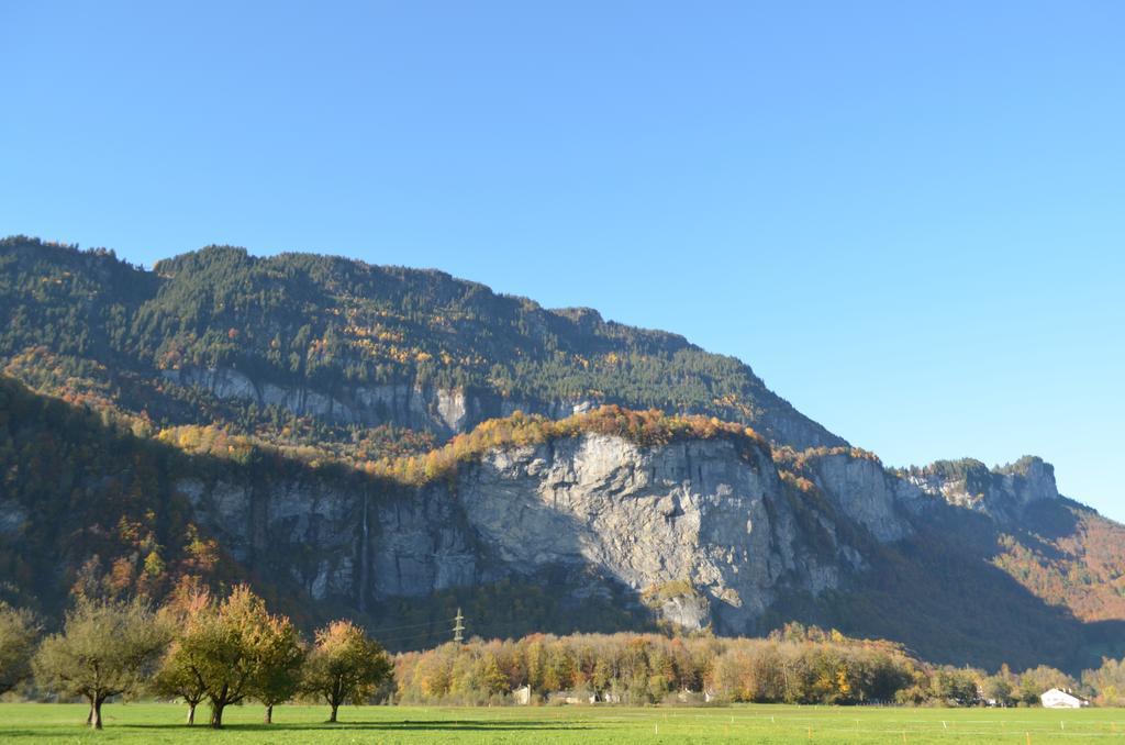 Mountain-panorama Appartement *